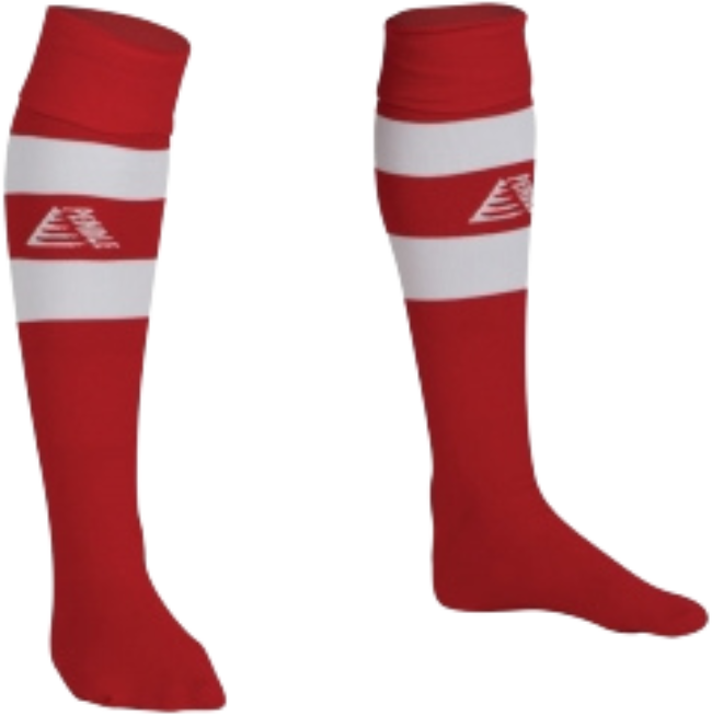 FC Alpha Game socks